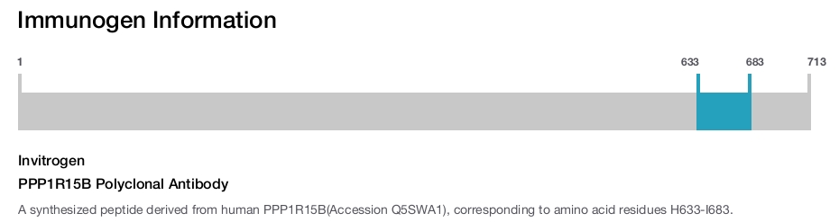 PPP1R15B Polyclonal Antibody