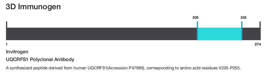 UQCRFS1 Polyclonal Antibody