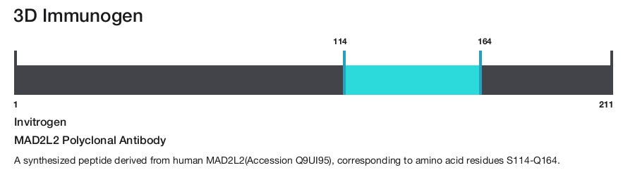 MAD2L2 Polyclonal Antibody