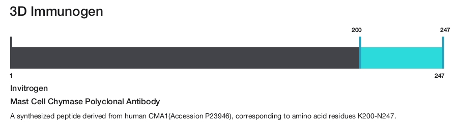 Mast Cell Chymase Polyclonal Antibody