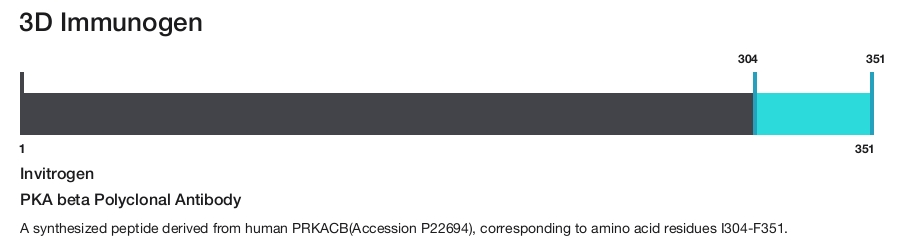 PKA beta Polyclonal Antibody