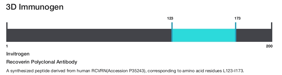 Recoverin Polyclonal Antibody