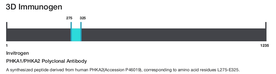 PHKA1/PHKA2 Polyclonal Antibody