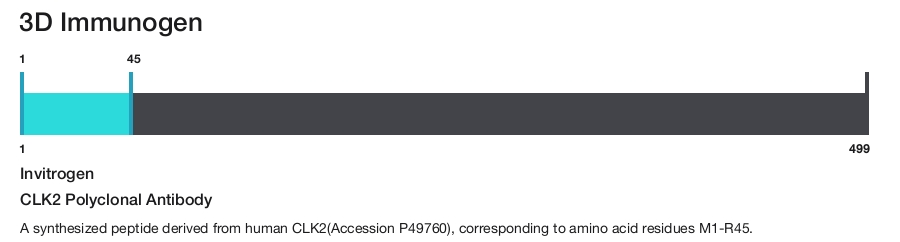 CLK2 Polyclonal Antibody
