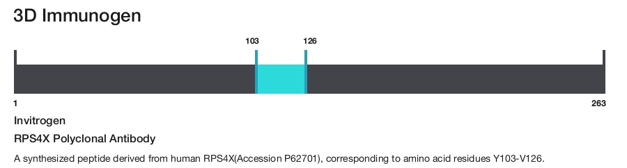RPS4X Polyclonal Antibody