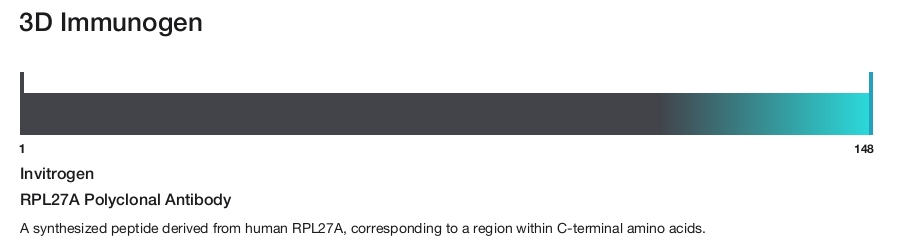 RPL27A Polyclonal Antibody
