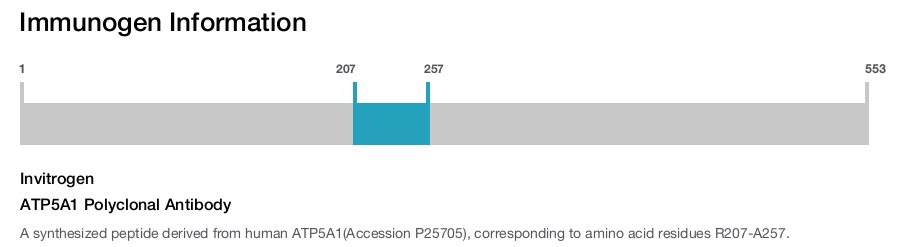 ATP5A1 Polyclonal Antibody