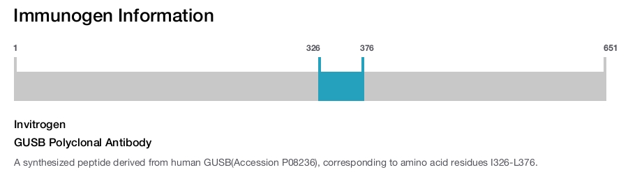GUSB Polyclonal Antibody