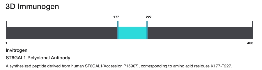 ST6GAL1 Polyclonal Antibody