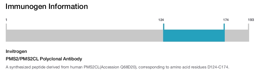 PMS2/PMS2CL Polyclonal Antibody