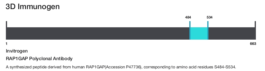 RAP1GAP Polyclonal Antibody
