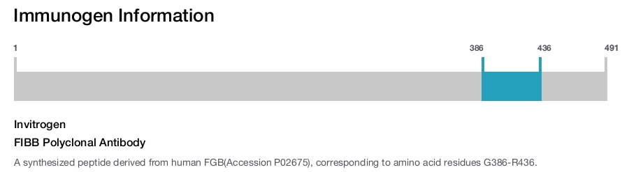 FIBB Polyclonal Antibody