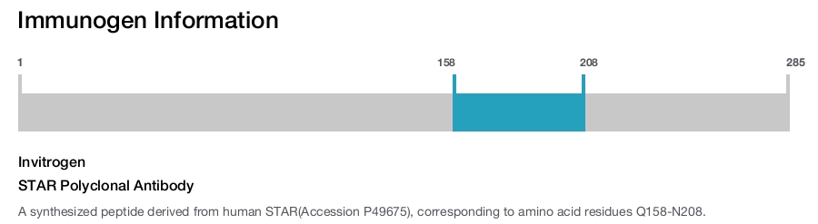STAR Polyclonal Antibody