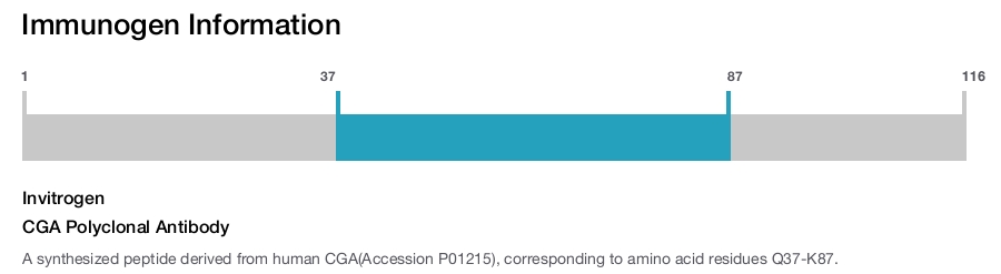 CGA Polyclonal Antibody