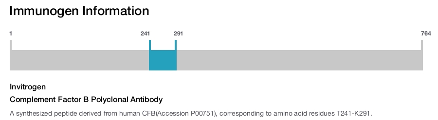 Complement Factor B Polyclonal Antibody