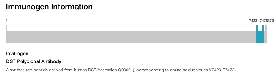 DST Polyclonal Antibody