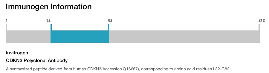 CDKN3 Polyclonal Antibody