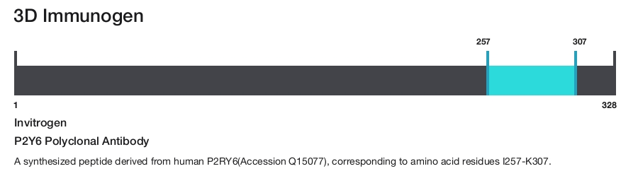 P2Y6 Polyclonal Antibody