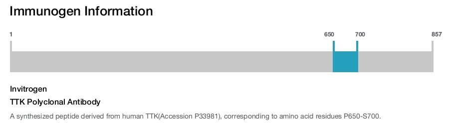 TTK Polyclonal Antibody