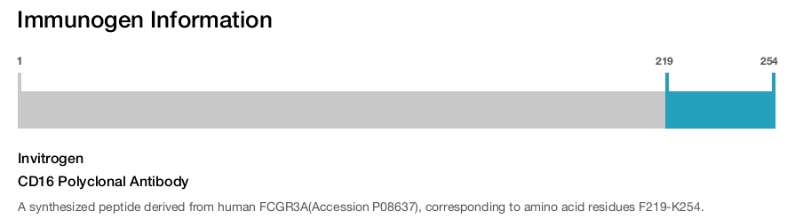 CD16 Polyclonal Antibody