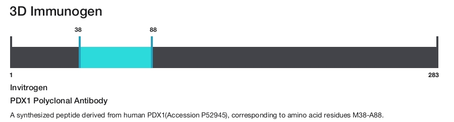 PDX1 Polyclonal Antibody