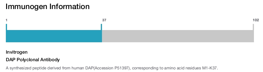 DAP Polyclonal Antibody