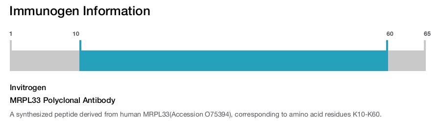 MRPL33 Polyclonal Antibody