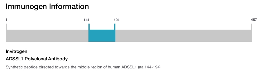 ADSSL1 Polyclonal Antibody