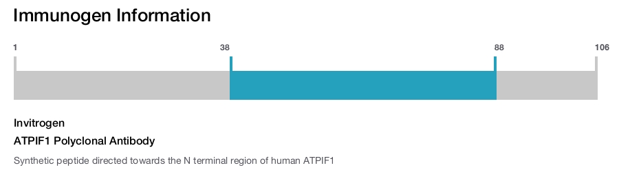 ATPIF1 Polyclonal Antibody