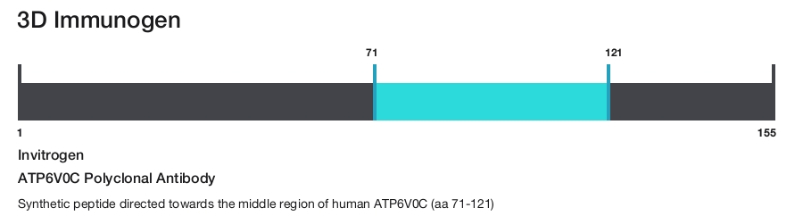 ATP6V0C Polyclonal Antibody