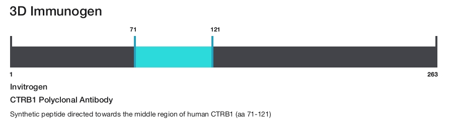 CTRB1 Polyclonal Antibody