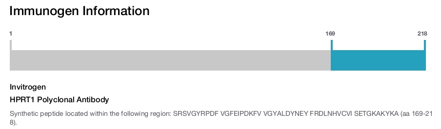 HPRT1 Polyclonal Antibody