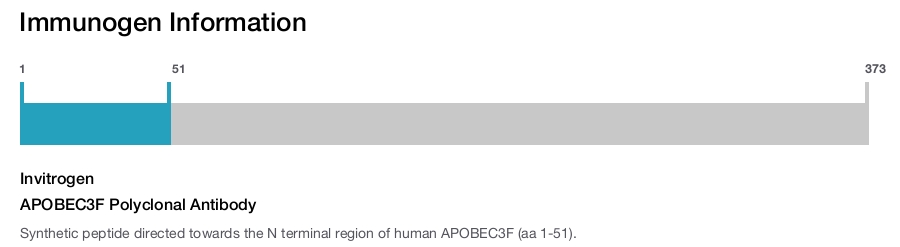 APOBEC3F Polyclonal Antibody