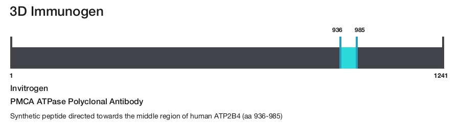 PMCA ATPase Polyclonal Antibody