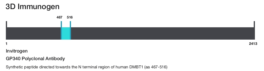 GP340 Polyclonal Antibody