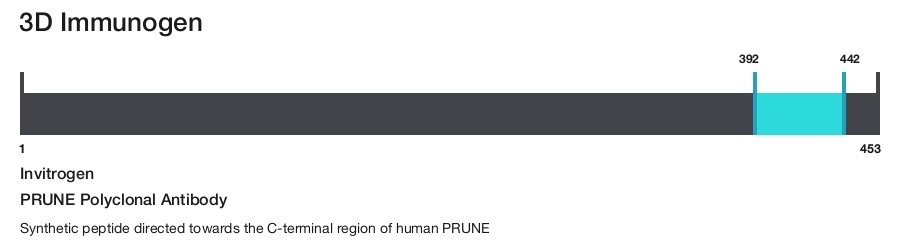 PRUNE Polyclonal Antibody