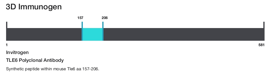 TLE6 Polyclonal Antibody