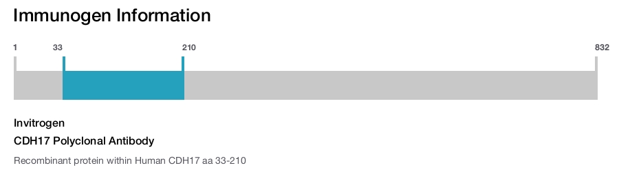 CDH17 Polyclonal Antibody