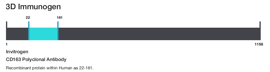 CD163 Polyclonal Antibody