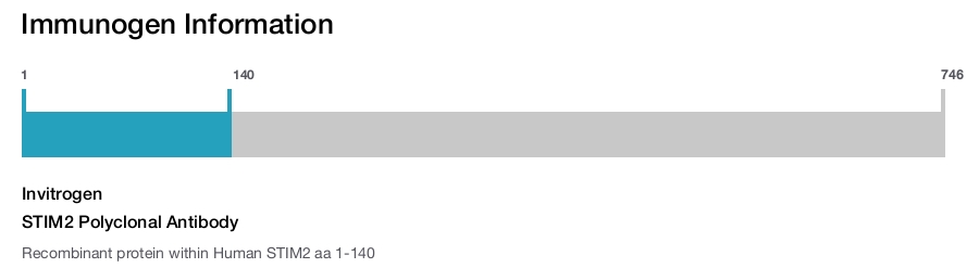 STIM2 Polyclonal Antibody