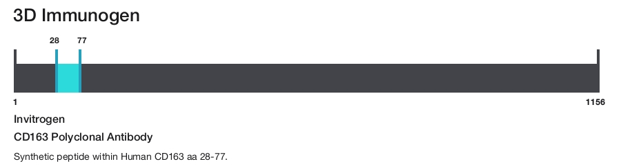 CD163 Polyclonal Antibody