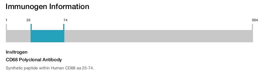 CD68 Polyclonal Antibody