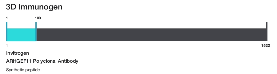 ARHGEF11 Polyclonal Antibody