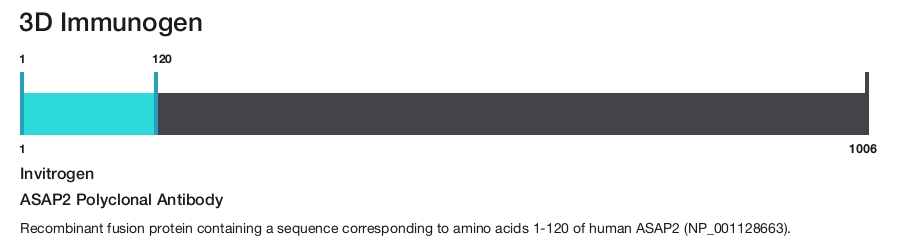 ASAP2 Polyclonal Antibody