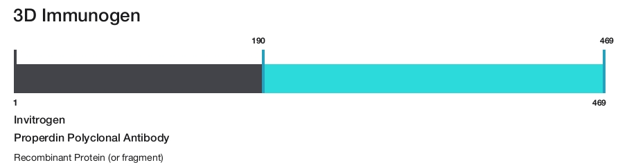 Properdin Polyclonal Antibody