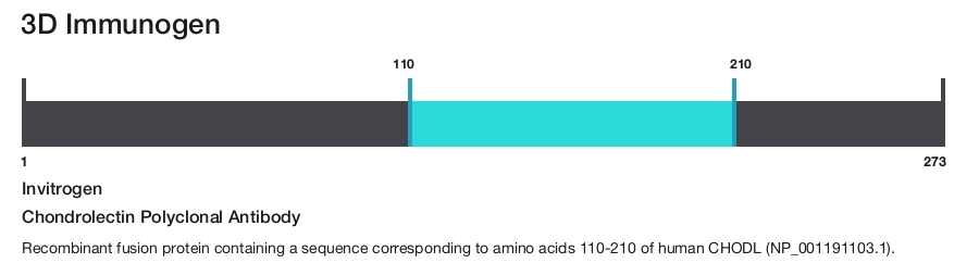 Chondrolectin Polyclonal Antibody