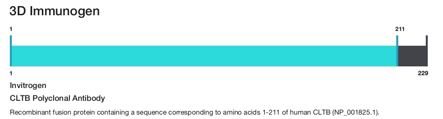 CLTB Polyclonal Antibody