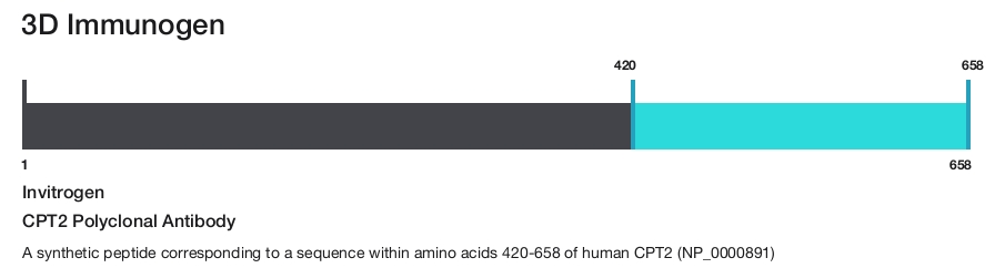 CPT2 Polyclonal Antibody