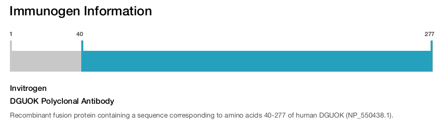DGUOK Polyclonal Antibody