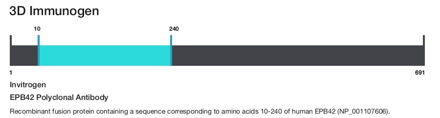 EPB42 Polyclonal Antibody